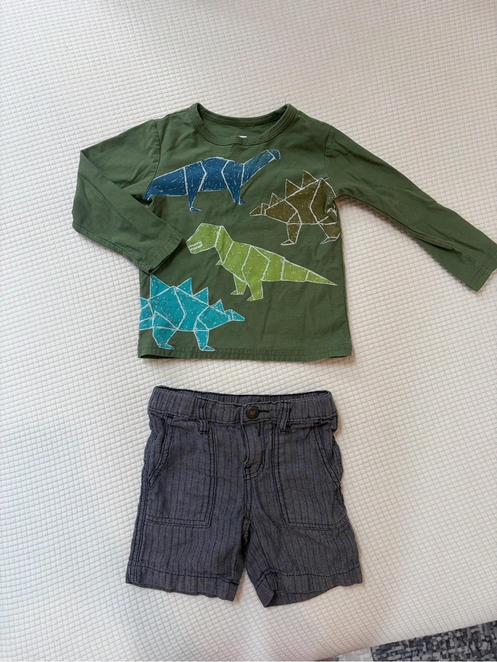 Geometric Dinosaur Graphic Print Long Sleeve Tee + Linen Blend Shorts Set
